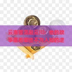 云南普洱赵云川
