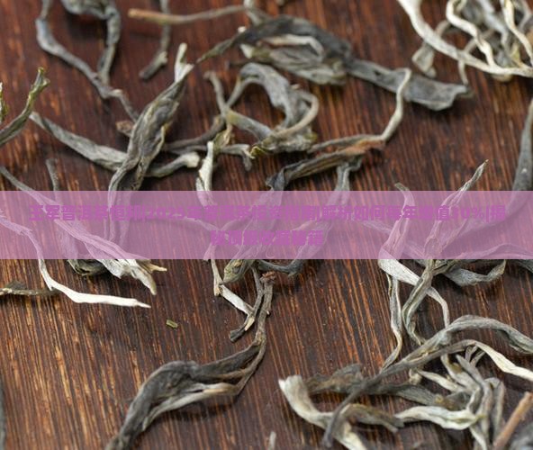 王军普洱茶恒邦