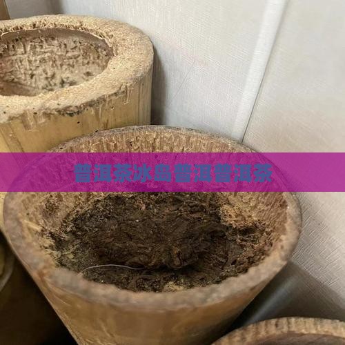 普洱冰岛龙井茶