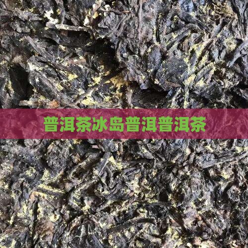 普洱冰岛龙井茶