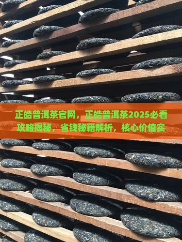 正皓普洱茶官网