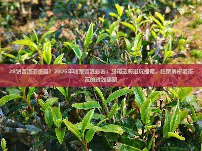 28饼普洱茶纸箱