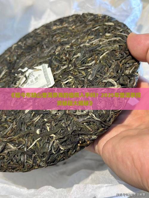 福今布朗山普洱茶