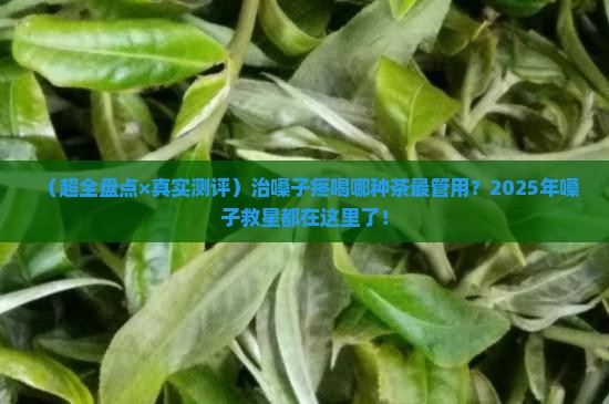 治嗓子的茶有哪些