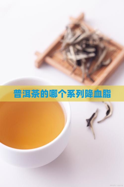普洱茶的哪个系列降血脂