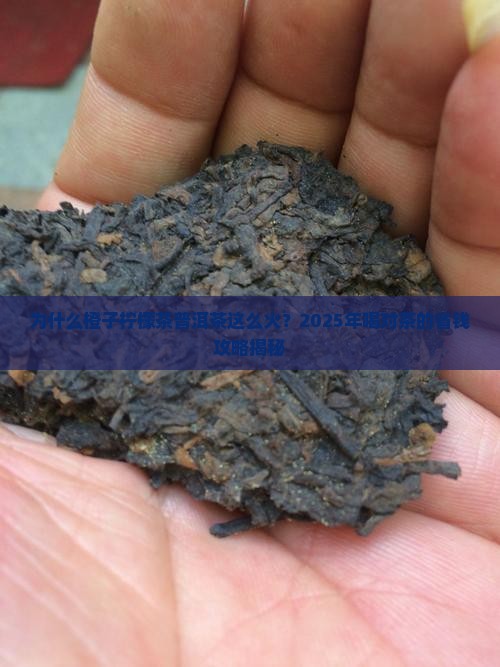 橙子柠檬茶普洱茶