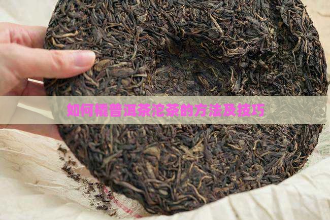 如何橇普洱茶沱茶