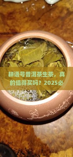 耕语号普洱茶生茶
