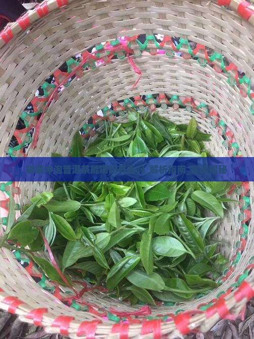 袋装冲泡普洱茶能喝吗有毒吗