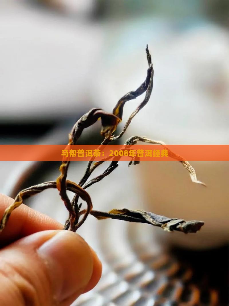 普洱茶马帮2008年的茶