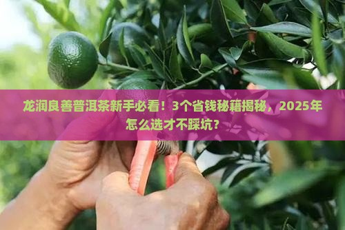 龙润良善普洱茶