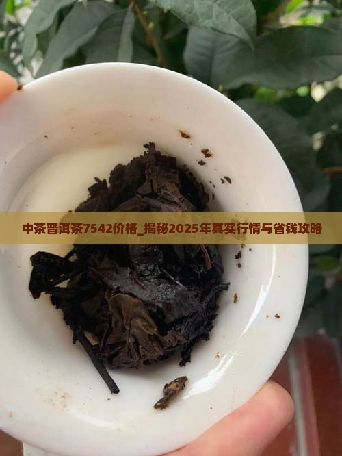 中茶普洱茶7542价格