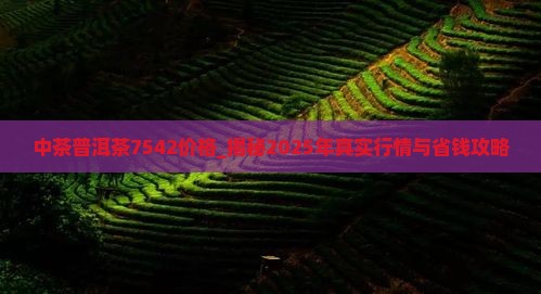 中茶普洱茶7542价格