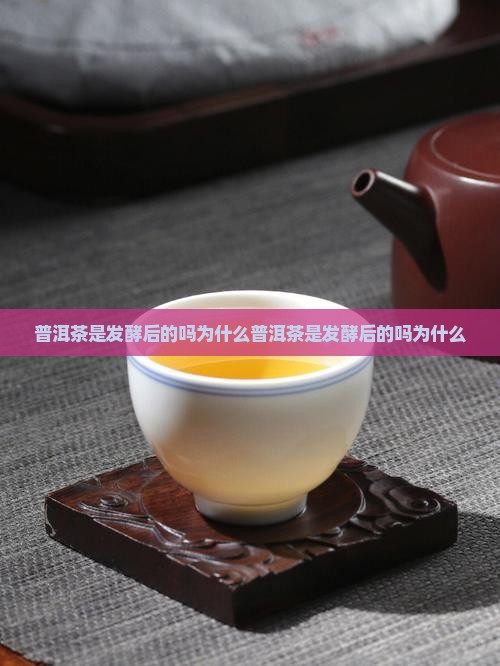 普洱茶是发酵后的吗为什么