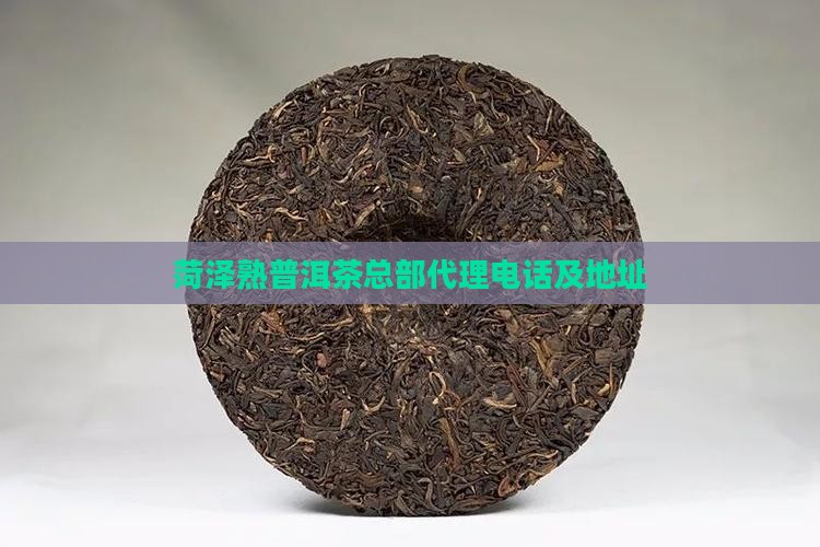 菏泽熟普洱茶总部代理