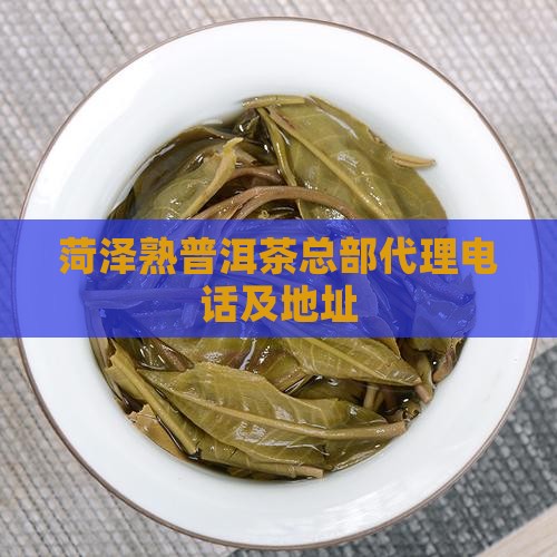 菏泽熟普洱茶总部代理
