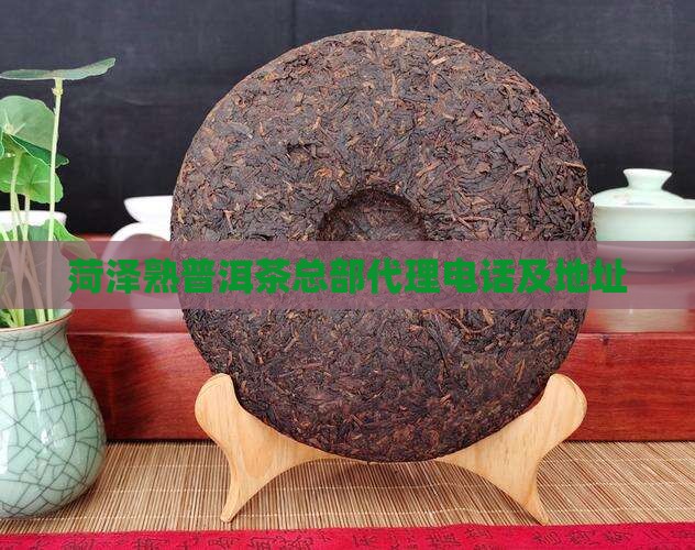 菏泽熟普洱茶总部代理