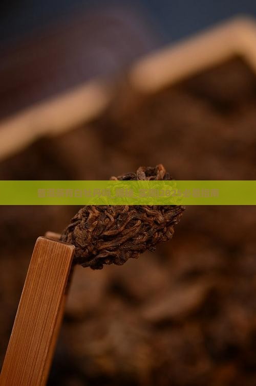普洱茶有白牡丹吗