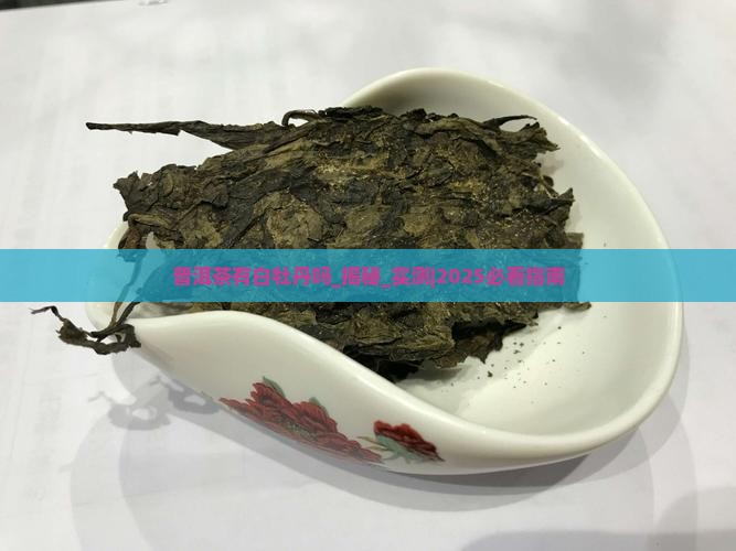 普洱茶有白牡丹吗