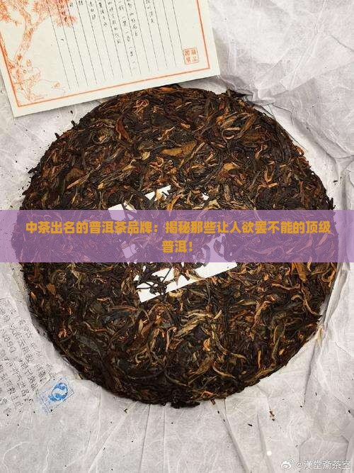 中茶出名的普洱茶品牌