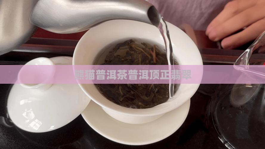 顶正翡翠熊猫普洱茶