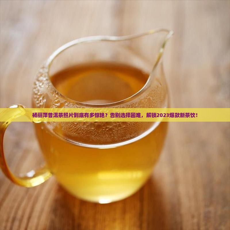 杨丽萍普洱茶照片