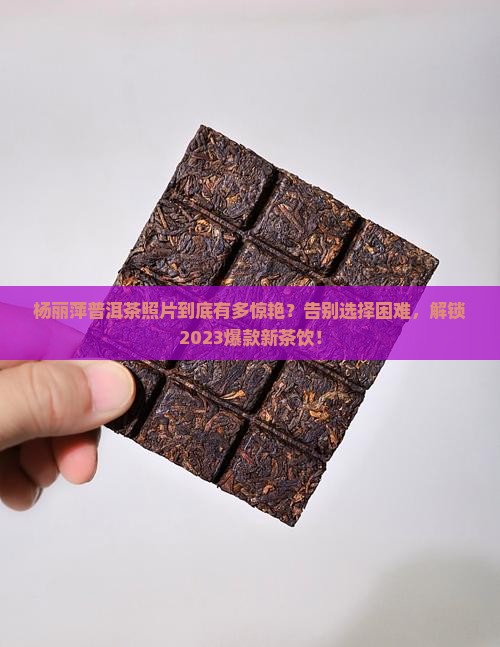 杨丽萍普洱茶照片