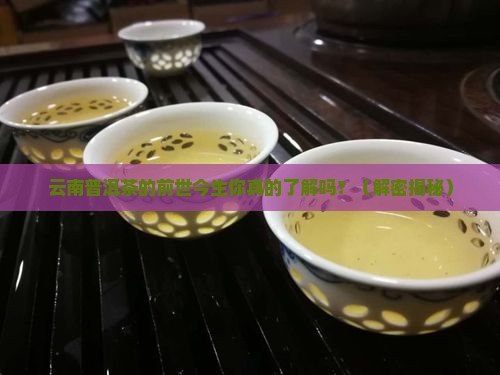 云南普洱茶的发展史