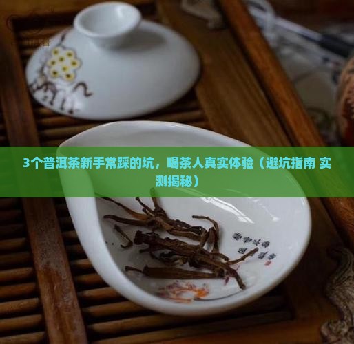 普洱茶有哪些特点和口感