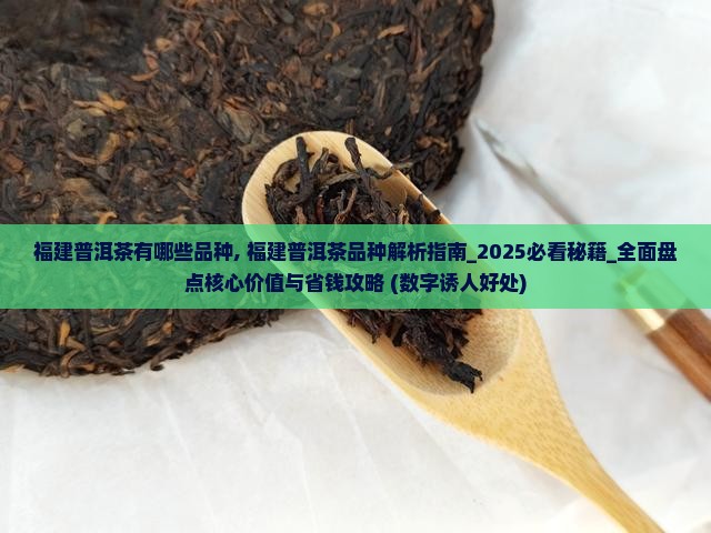 福建普洱茶有哪些品种