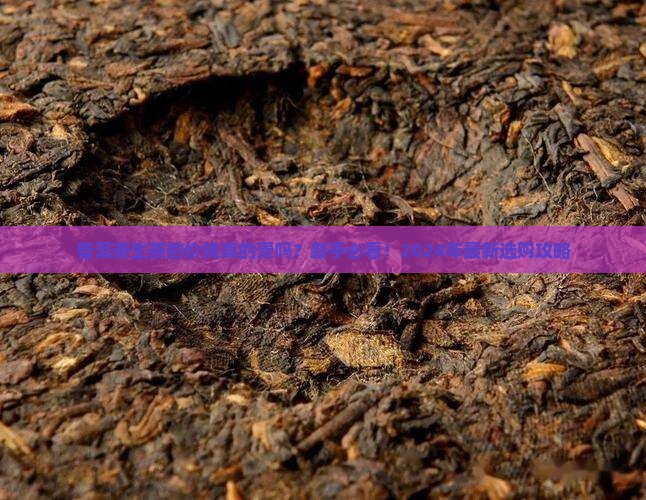 普洱茶生茶的价钱