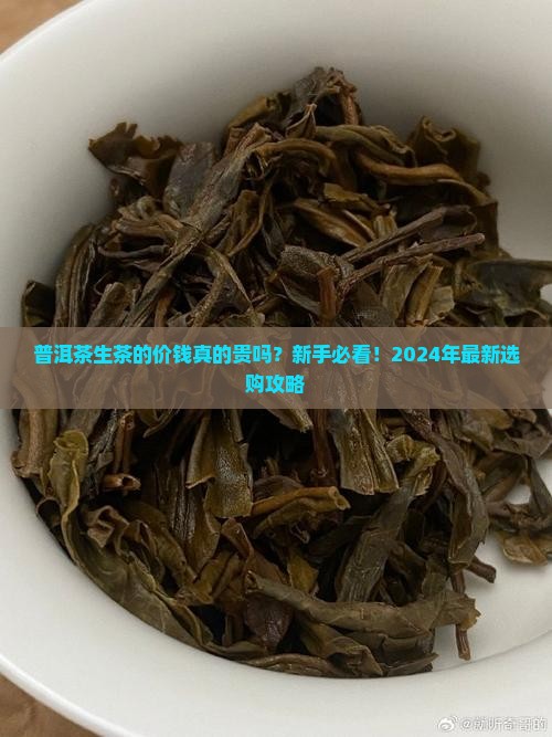 普洱茶生茶的价钱