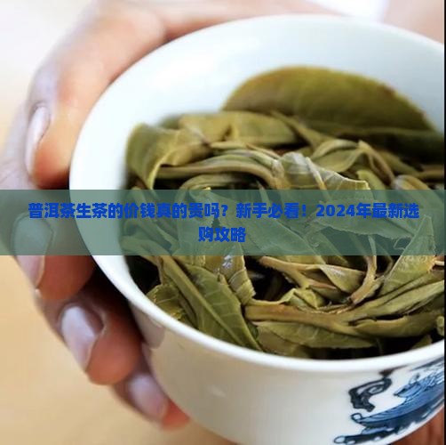 普洱茶生茶的价钱