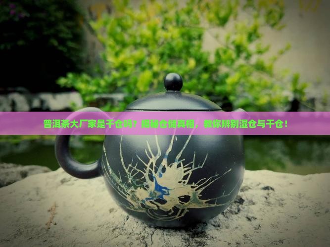 普洱茶大厂家是干仓吗