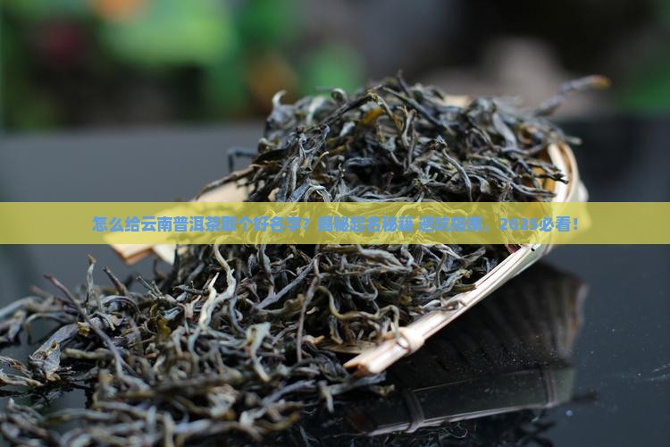 怎么取名云南普洱茶