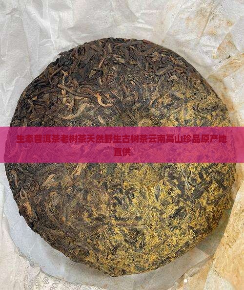 生态普洱茶老树茶