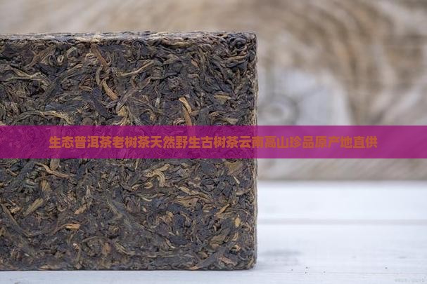 生态普洱茶老树茶