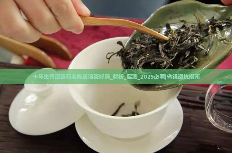 十年生普洱茶和老陈皮泡茶好吗