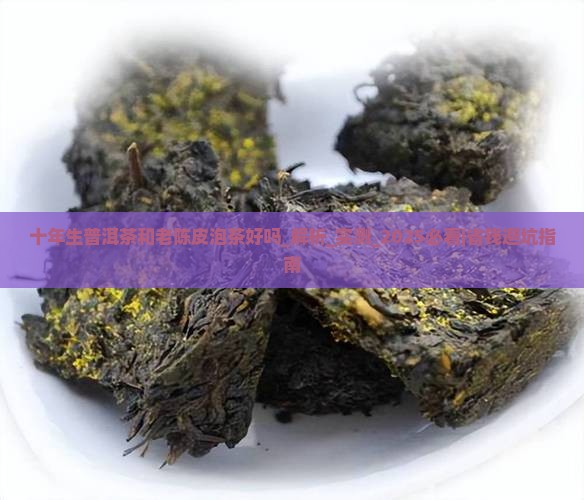 十年生普洱茶和老陈皮泡茶好吗