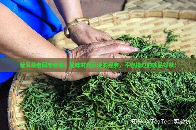 普洱茶老同志老茶