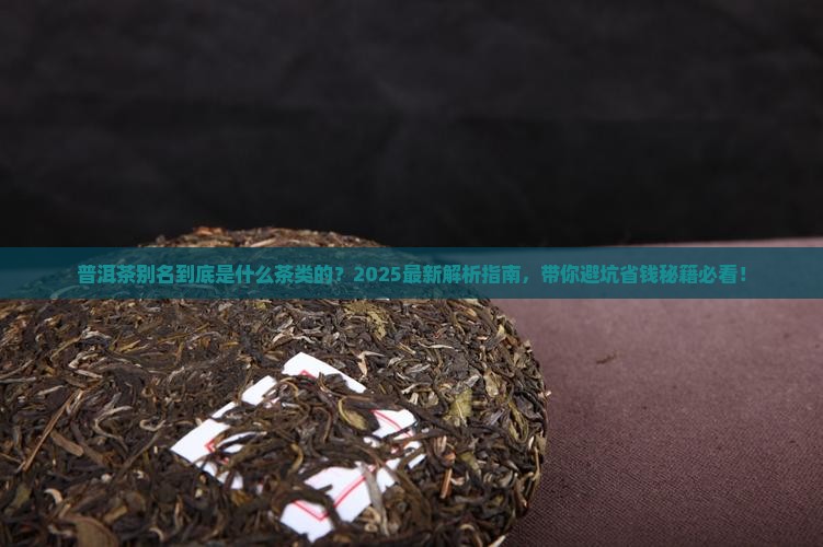 普洱茶别名是什么茶类的