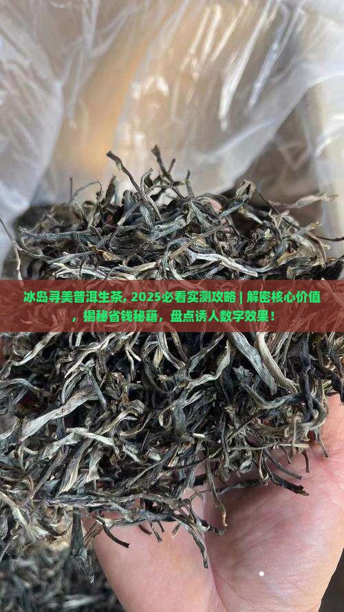 冰岛寻美普洱生茶