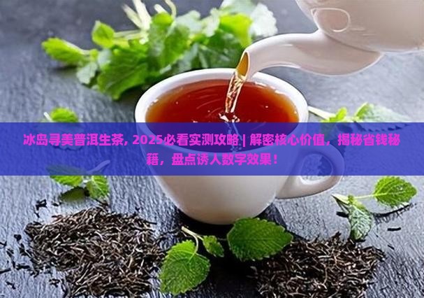 冰岛寻美普洱生茶