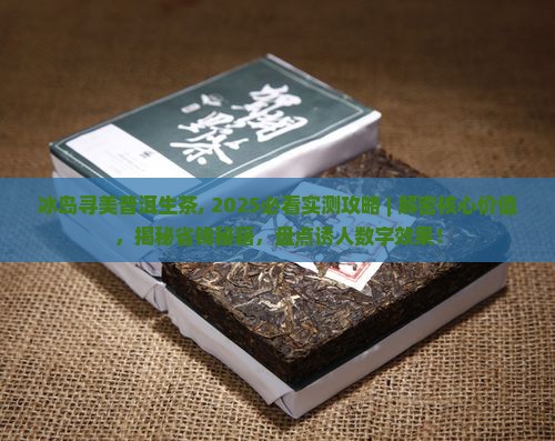 冰岛寻美普洱生茶