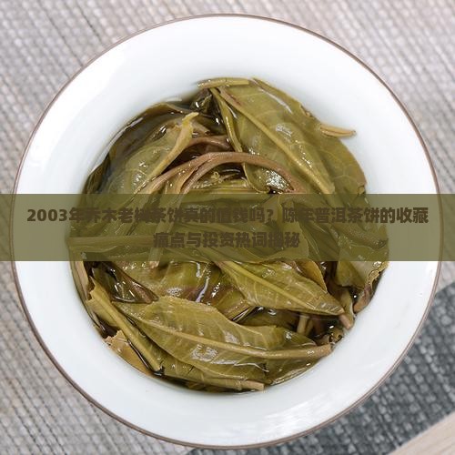 2003年乔木老树茶饼