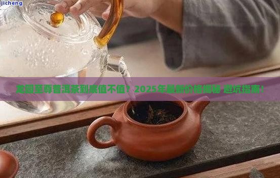 龙园至尊普洱茶价格