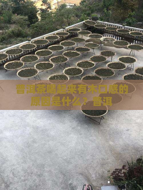 普洱茶喝起木口