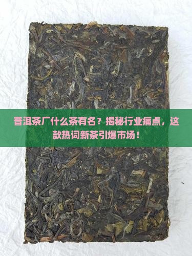 普洱茶厂什么茶有名