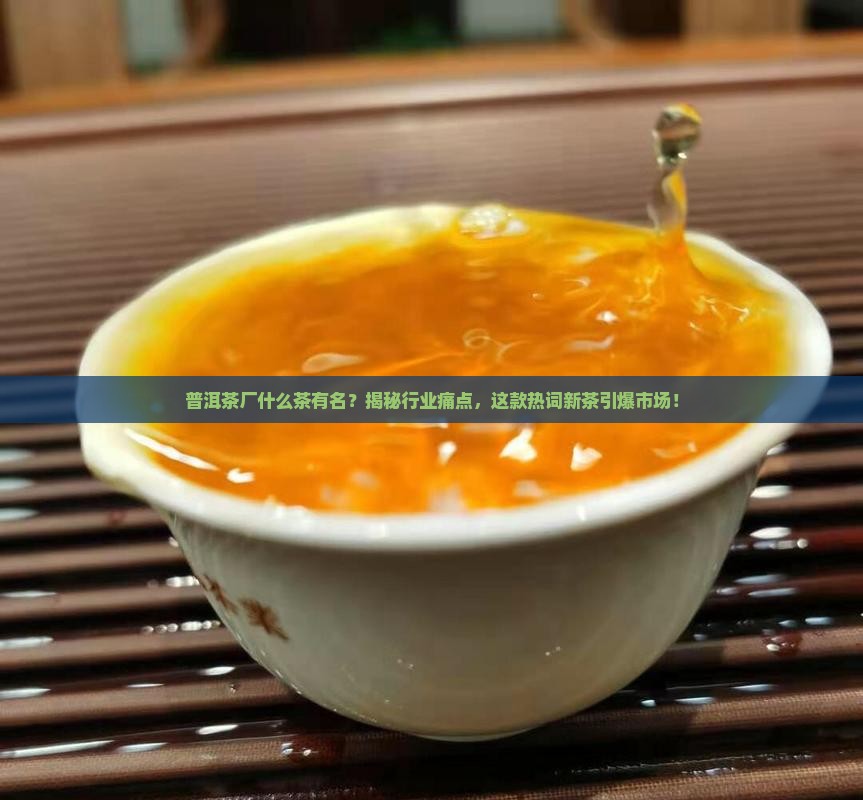 普洱茶厂什么茶有名