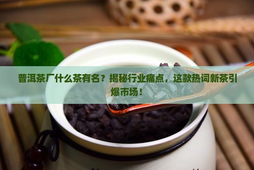 普洱茶厂什么茶有名